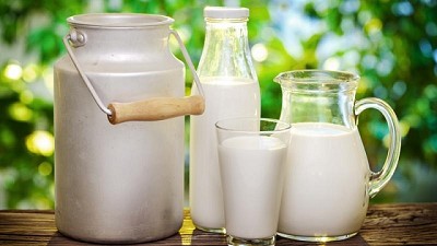 Lechería: valores de Referencia de Oferta y Demanda