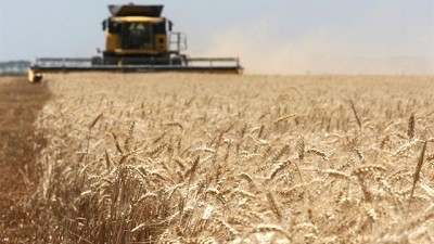 Molinos harineros de Córdoba y Santa Fe buscan crecer en Brasil