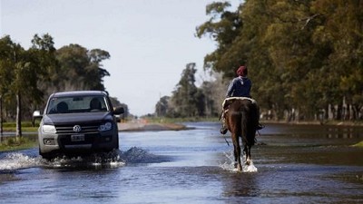 Siembras - Ciclo 2017/2018, no apto para cardíacos