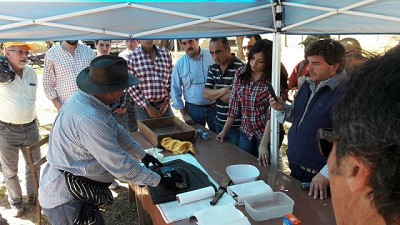 Piscicultura, una excelente alternativa productiva para Tucumán