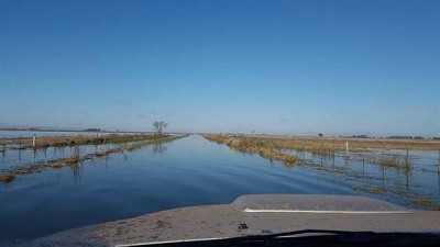 El INTA de General Villegas alertó que 