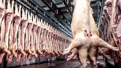 Fomentan el desarrollo ganadero porcino para elevar el consumo a 25 kilos anuales per cápita