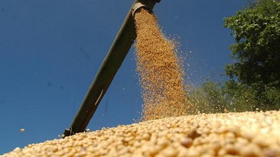 Cautela en Chicago por el nuevo reporte del USDA