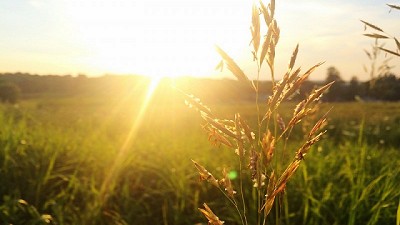 Se espera un fin de semana largo de sol