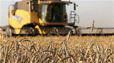 Brasil abriría un cupo de 750.000 toneladas para importar trigo sin aranceles fuera del Mercosur