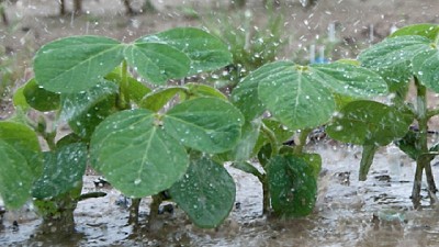 Se registraron lluvias en diversas zonas del país
