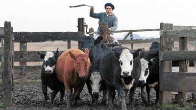 Radiografía de los impuestos provinciales que complican al agro