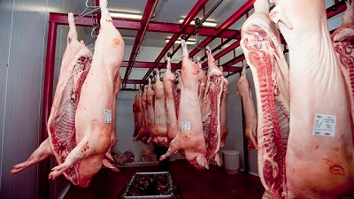 Exportaciones argentinas: fuerte salto en septiembre