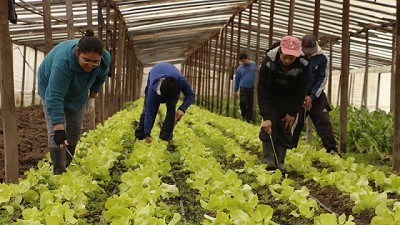 Llega a la Provincia de Buenos Aires la primera muestra nacional de hortalizas