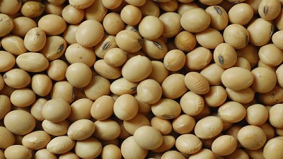 Se publicó el informe mensual del USDA, suben las estimaciones de producción de Soja