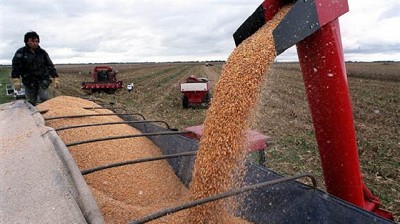 Creación de empleo en el agro, por Manuel Alvarado Ledesma
