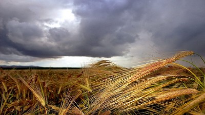 Alerta meteorológica por tormentas fuertes y vientos intensos
