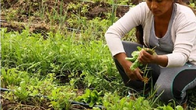 Tecnología para producir alimentos frescos y de calidad