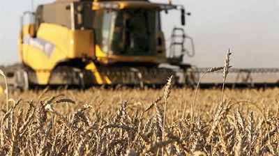Inmobiliario Rural: el agro analiza cómo reaccionar
