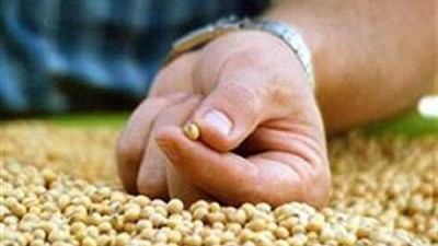 Suba con sabor a poco para los precios de la soja en la Bolsa de Chicago
