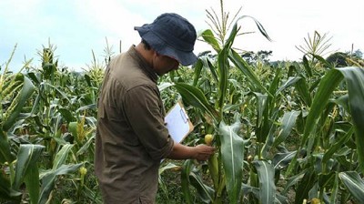Realizarán una prueba piloto para el Censo Agropecuario de 2018
