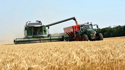La cosecha de trigo avanza hacia un 82% del total