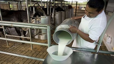 La producción de leche global crecerá en 2018