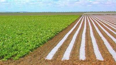 La Bolsa de Cereales participará de un proyecto de la Nasa para estudiar coberturas vegetales