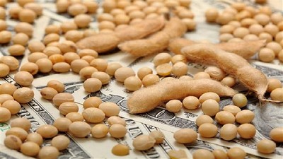 ¿Cómo es el financiamiento de la producción de granos en Argentina? BCR