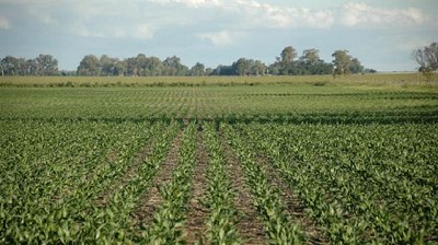 Hay alerta por la falta de agua para los cultivos de la zona núcleo