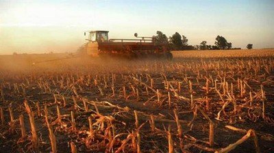 Por la suba del gasoil, en Córdoba sembrar soja y maíz cuesta $ 244 millones más que en 2016