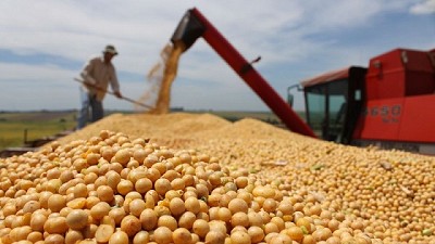 Continúan la tendencia positiva en las exportaciones de alimentos y bebidas