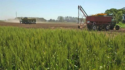 Las últimas lluvias beneficiaron al 60% del área agrícola del país