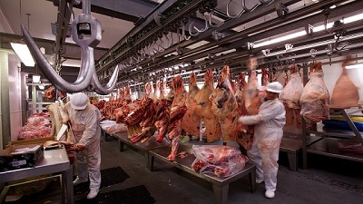 Crisis del cuero y suba de tarifas golpean a frigoríficos