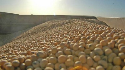 Córdoba concentra sus exportaciones en el agro por encima de la media nacional