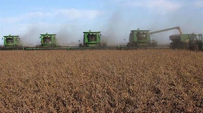 Exportaciones del campo: prevén un ingreso de dólares similar al de 2017