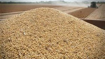 El 2017 terminó con una mala nota para las exportaciones del complejo sojero