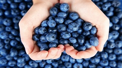 Argentina abre el mercado chino para los arándanos y arvejas secas 