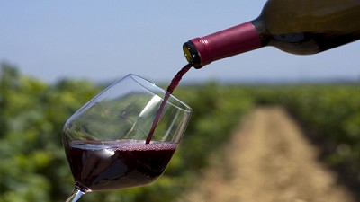 Industria vitivinícola en crisis: entre la caída del consumo, más costos y reclamos