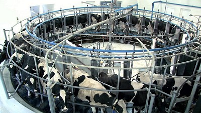 Santa Fe: tras invertir US$2,5 millones, un tambo duplicó su producción en seis años 
