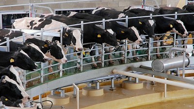 Créditos para tambos de la provincia de Buenos Aires 