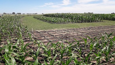 Nidera se prepara para estar al lado del productor en expoagro