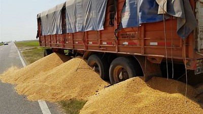 Se levantó el paro de camioneros de granos autoconvocados