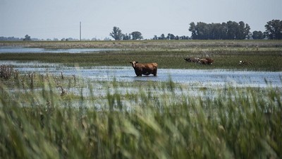Inundaciones, sequías, incendios y heladas: un clima impredecible jaquea al campo