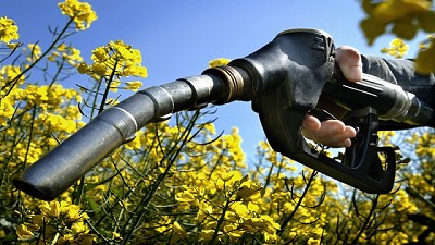 Agroindustria bonaerense elaboró un proyecto para producir y comercializar biodiésel