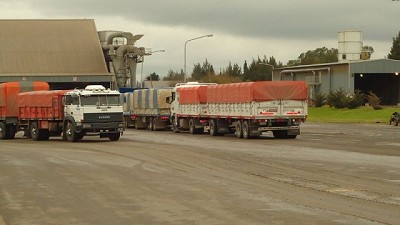 Se oficializaron las nuevas tarifas referenciales de fletes de granos