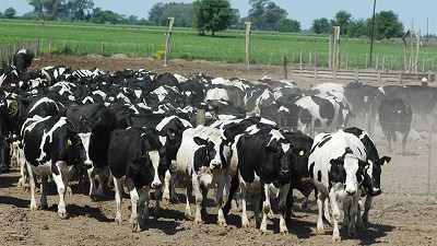 Los tamberos le dirán a Macri que producen a pérdida