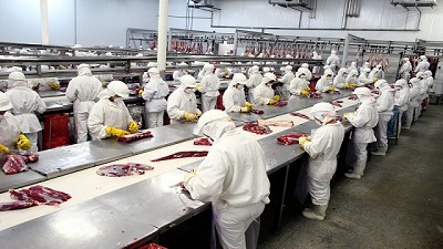 El 96% de los frigoríficos de bovinos adquirieron los Controladores Electrónicos