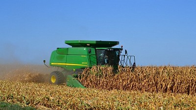 Maíz: adelantar la cosecha reduce las pérdidas en un 32 % 