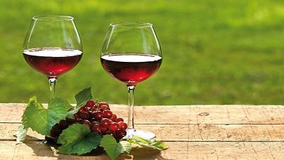 Por primera vez vinos de la Argentina recibieron certificaciones de huella ecológica 