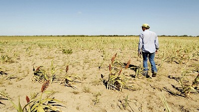 Proponen una ley de seguro multirriesgo para atenuar los efectos de la sequía