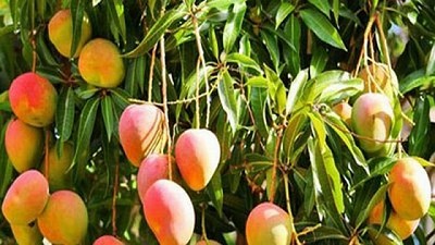 La Argentina podría tener más demanda de alimentos si la pelea se agrava, por Cristian Mira
