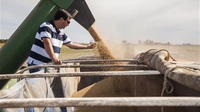 Aumentó el precio de la soja en Rosario