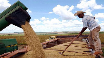 Retroceso de la molienda de soja y girasol en el primer bimestre del año