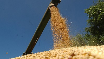 Alza de la soja por séptima rueda seguida en Rosario